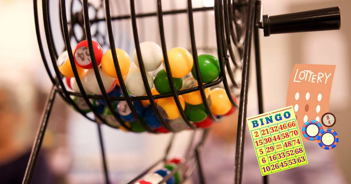 Opinie ekspertów na temat Bingo vs. Loterie
